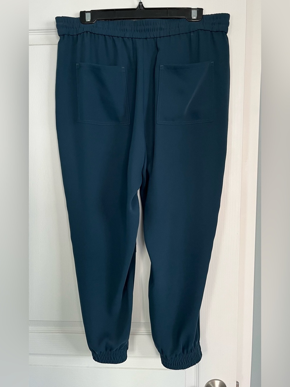 Ann Taylor Womens Teal Pull-On Dressy Jogger Pants - Size L